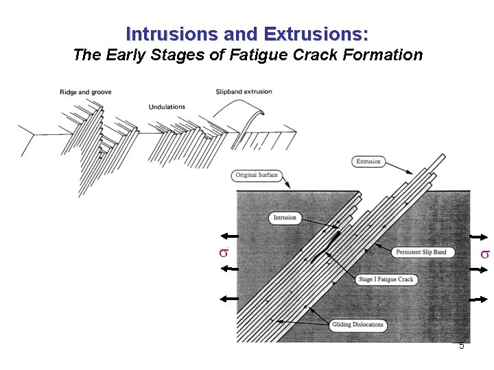 Intrusions and Extrusions: The Early Stages of Fatigue Crack Formation 5 