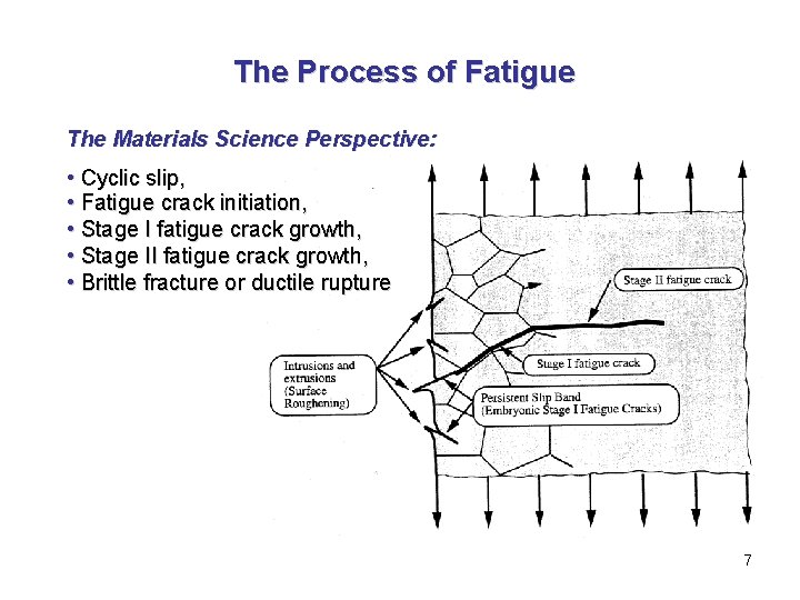 The Process of Fatigue The Materials Science Perspective: • Cyclic slip, • Fatigue crack