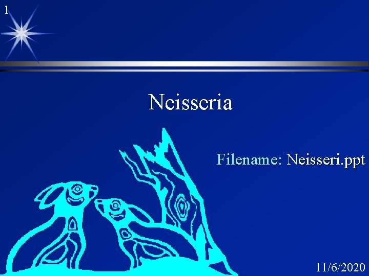 1 Neisseria Filename: Neisseri. ppt 11/6/2020 
