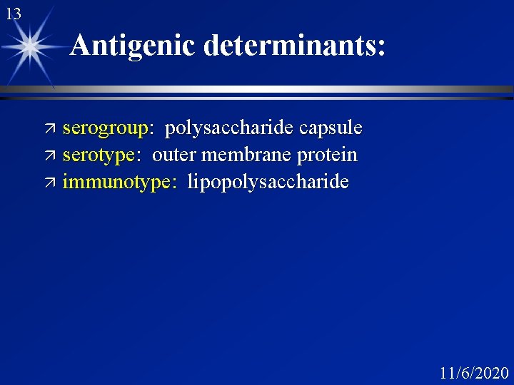 13 Antigenic determinants: serogroup: polysaccharide capsule ä serotype: outer membrane protein ä immunotype: lipopolysaccharide