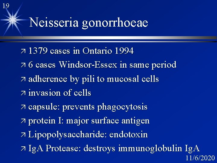 19 Neisseria gonorrhoeae ä 1379 cases in Ontario 1994 ä 6 cases Windsor-Essex in