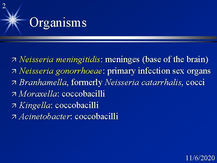 2 Organisms Neisseria meningitidis: meninges (base of the brain) ä Neisseria gonorrhoeae: primary infection