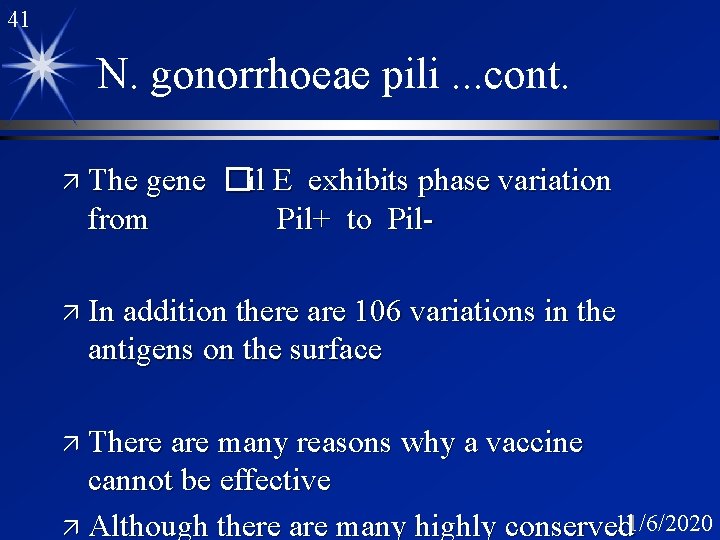 41 N. gonorrhoeae pili. . . cont. ä The gene from �il E exhibits