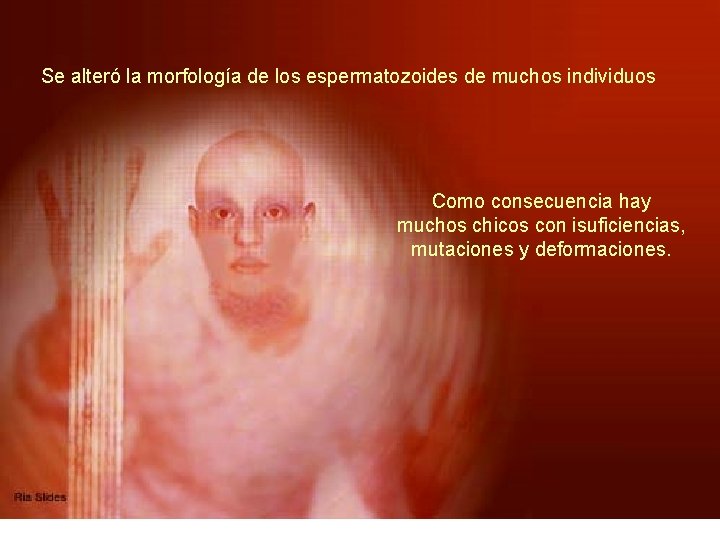 Se alteró la morfología de los espermatozoides de muchos individuos Como consecuencia hay muchos