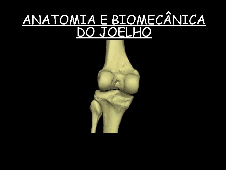 ANATOMIA E BIOMEC NICA DO JOELHO 