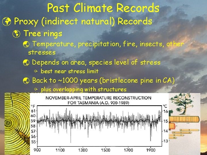 Past Climate Records ü Proxy (indirect natural) Records þ Tree rings ý Temperature, precipitation,