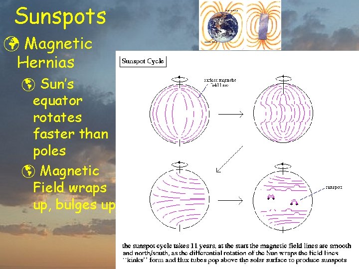 Sunspots ü Magnetic Hernias þ Sun’s equator rotates faster than poles þ Magnetic Field
