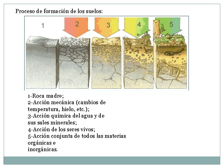 Proceso de formación de los suelos: 1 -Roca madre; 2 -Acción mecánica (cambios de