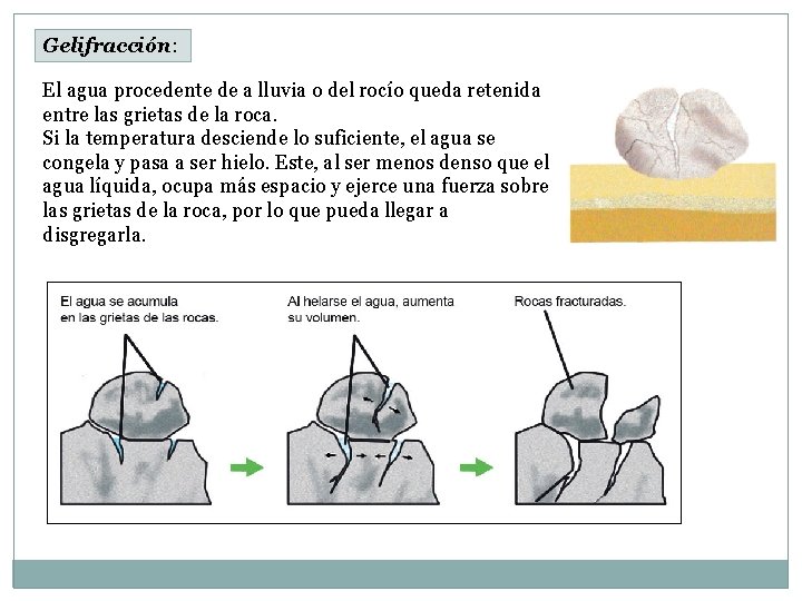 Gelifracción: El agua procedente de a lluvia o del rocío queda retenida entre las