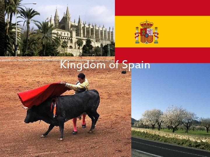 Kingdom of Spain 