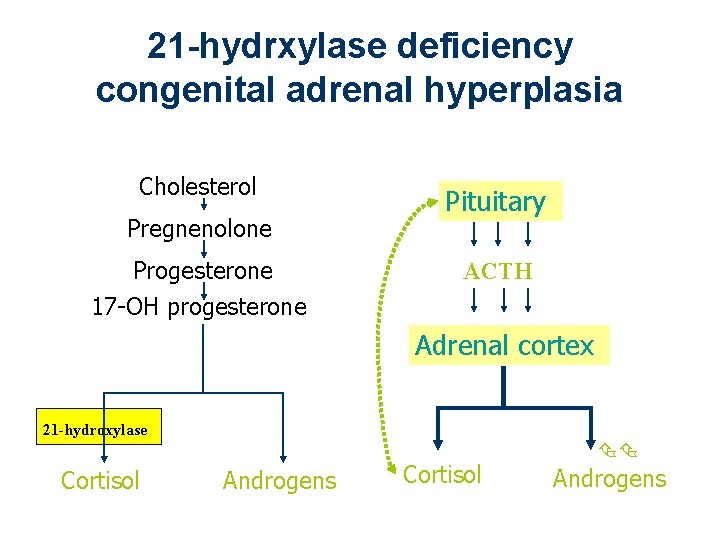 21 -hydrxylase deficiency congenital adrenal hyperplasia Cholesterol Pregnenolone Progesterone 17 -OH progesterone Pituitary ACTH