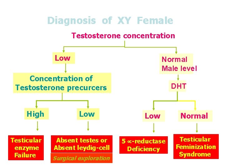 Diagnosis of XY Female Testosterone concentration Low Normal Male level Concentration of Testosterone precurcers
