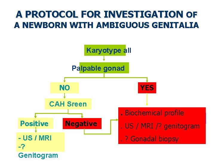 A PROTOCOL FOR INVESTIGATION OF A NEWBORN WITH AMBIGUOUS GENITALIA Karyotype all Palpable gonad