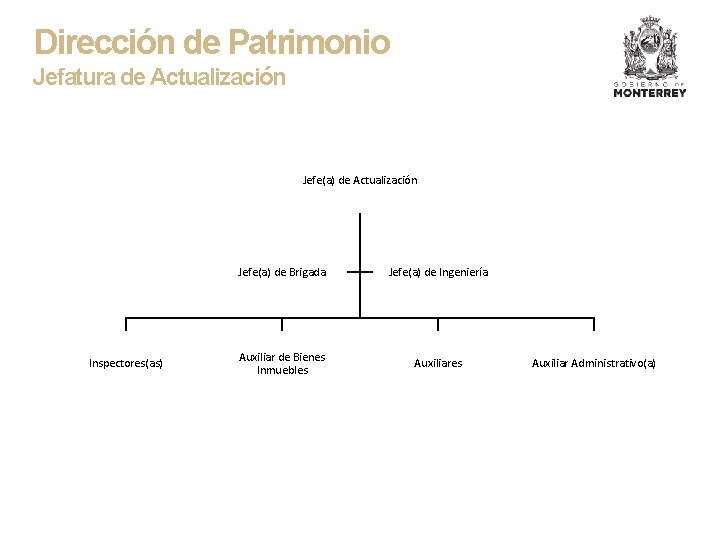 Dirección de Patrimonio Jefatura de Actualización Jefe(a) de Actualización Inspectores(as) Jefe(a) de Brigada Jefe(a)