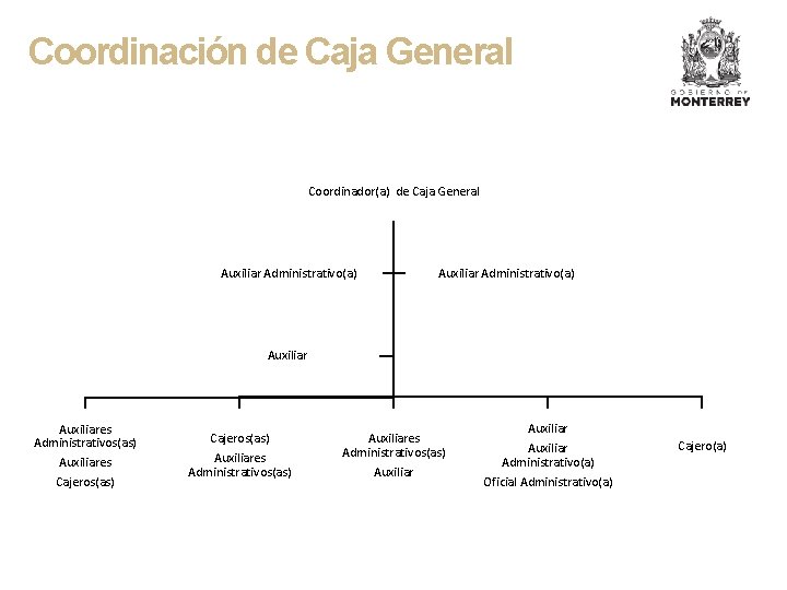 Coordinación de Caja General Coordinador(a) de Caja General Auxiliar Administrativo(a) Auxiliares Administrativos(as) Auxiliares Cajeros(as)