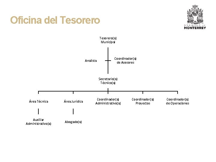 Oficina del Tesorero(a) Municipal Analista Coordinador(a) de Asesores Secretario(a) Técnico(a) Área Técnica Área Jurídica