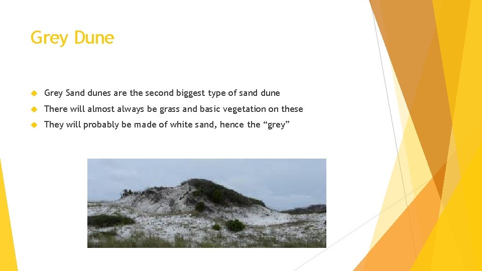 Grey Dune Grey Sand dunes are the second biggest type of sand dune There