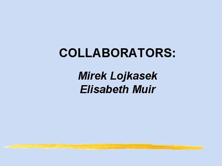 COLLABORATORS: Mirek Lojkasek Elisabeth Muir 