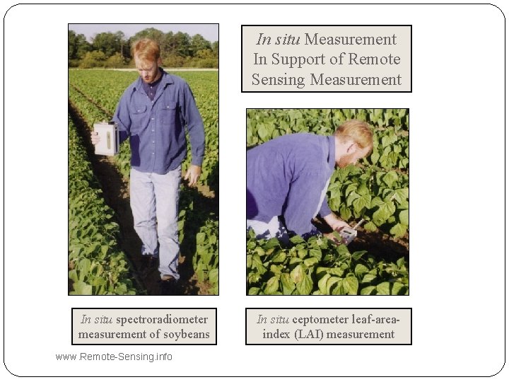 In situ Measurement In Support of Remote Sensing Measurement In situ spectroradiometer measurement of