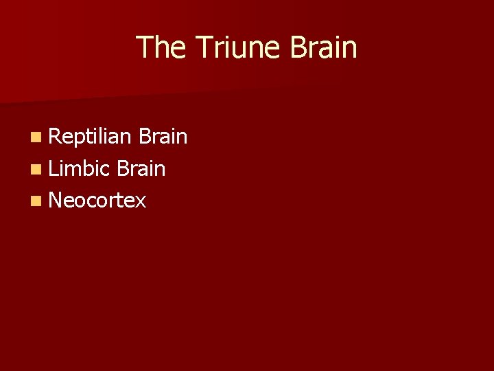 The Triune Brain n Reptilian Brain n Limbic Brain n Neocortex 
