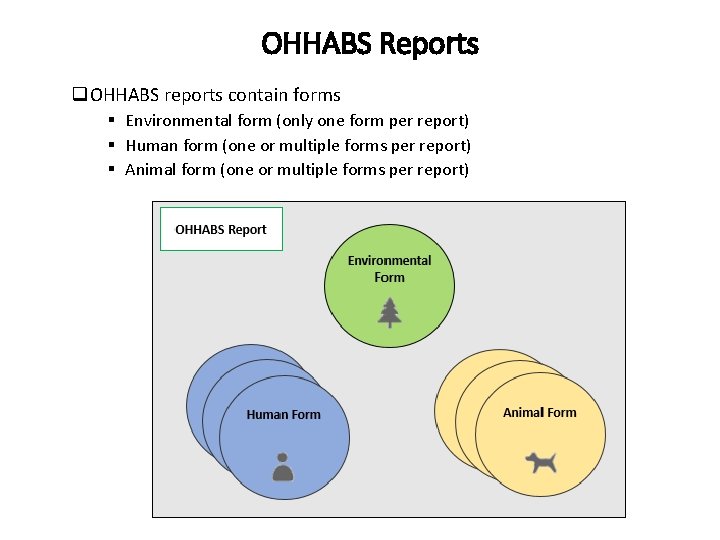 OHHABS Reports q. OHHABS reports contain forms § Environmental form (only one form per