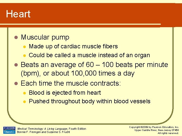 Heart l Muscular pump l l Made up of cardiac muscle fibers Could be