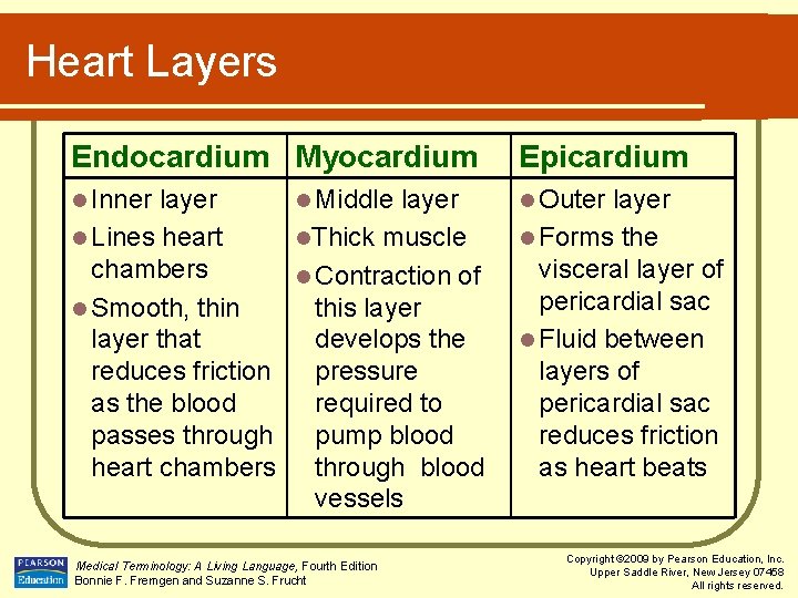 Heart Layers Endocardium Myocardium Epicardium l Inner l Outer layer l Middle layer l