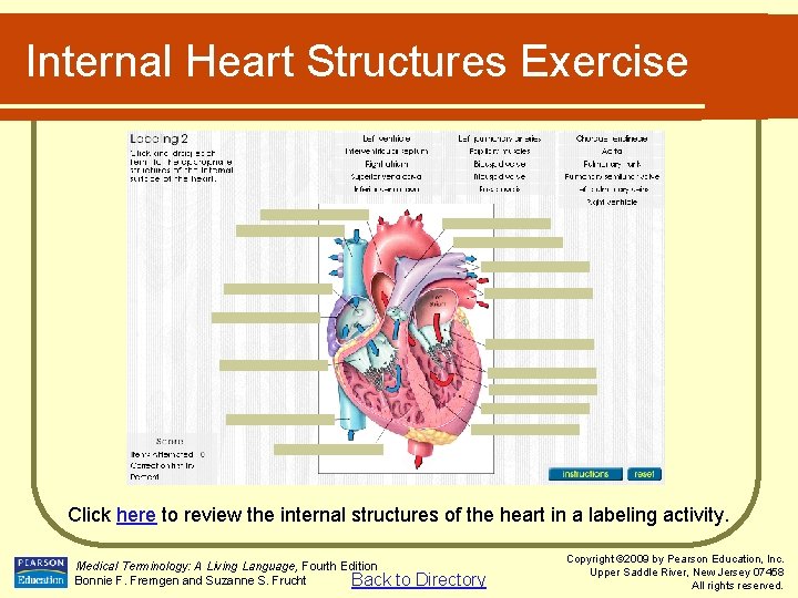 Internal Heart Structures Exercise Click here to review the internal structures of the heart