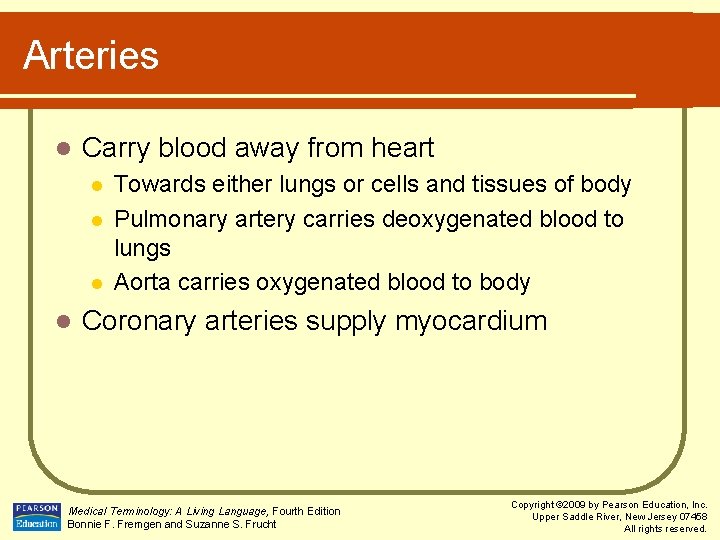 Arteries l Carry blood away from heart l l Towards either lungs or cells