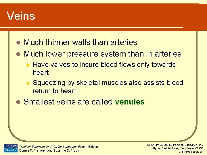 Veins Much thinner walls than arteries l Much lower pressure system than in arteries