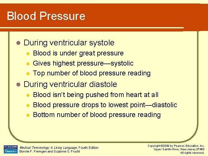 Blood Pressure l During ventricular systole l l Blood is under great pressure Gives