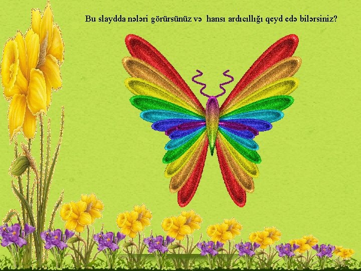 Bu slaydda nələri görürsünüz və hansı ardıcıllığı qeyd edə bilərsiniz? 