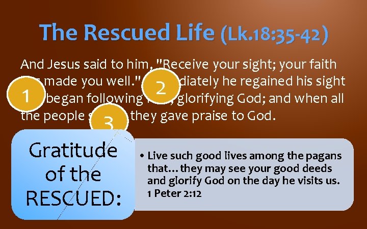 The Rescued Life (Lk. 18: 35 -42) And Jesus said to him, "Receive your The Rescued Life (Lk. 18: 35 -42) And Jesus said to him, "Receive your