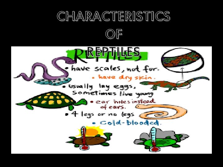 CHARACTERISTICS OF REPTILES 