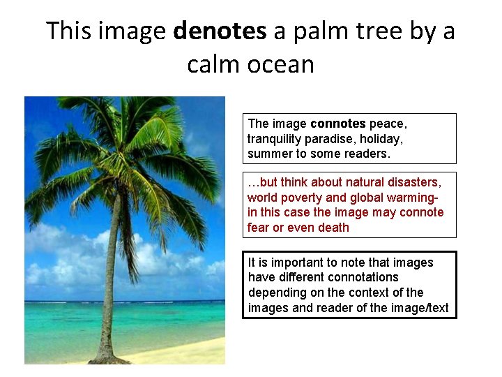 This image denotes a palm tree by a calm ocean The image connotes peace, This image denotes a palm tree by a calm ocean The image connotes peace,