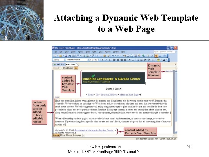 XP Attaching a Dynamic Web Template to a Web Page New Perspectives on Microsoft