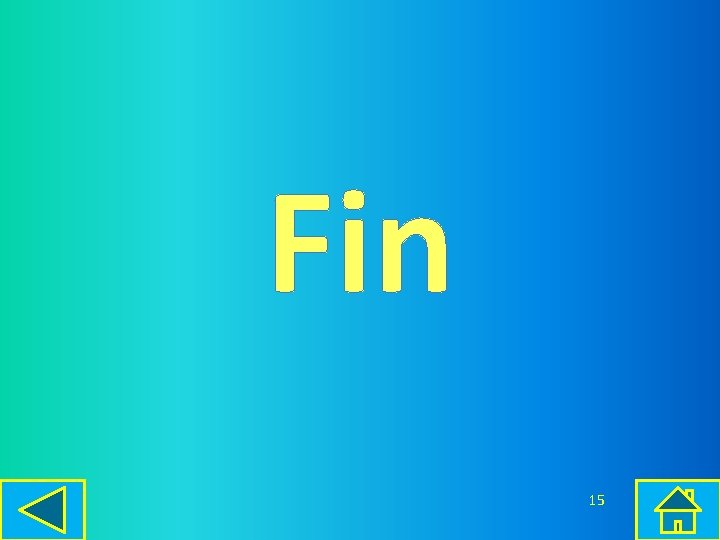 Fin 15 