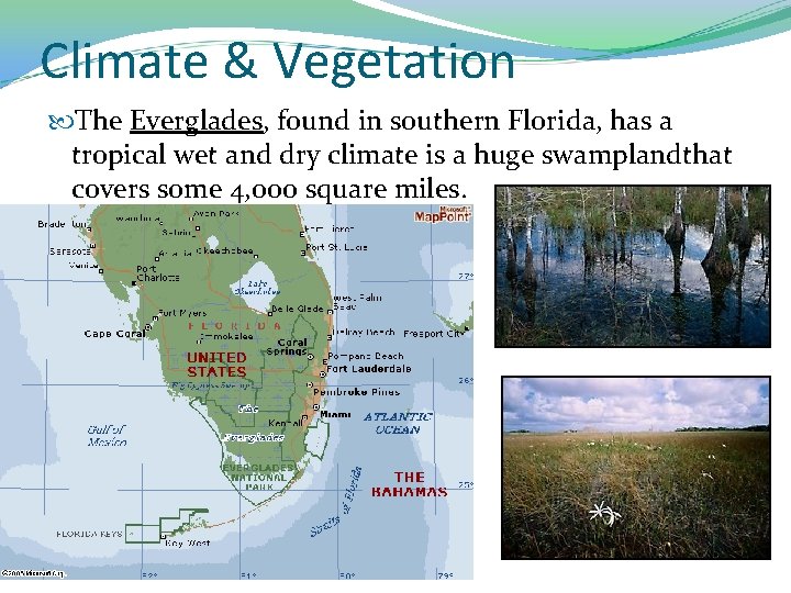 Climate & Vegetation The Everglades, found in southern Florida, has a tropical wet and
