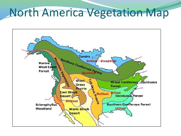 North America Vegetation Map 