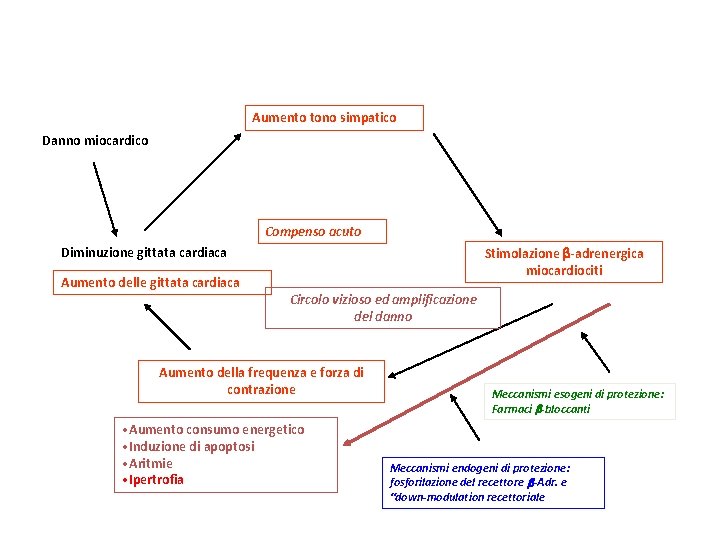 Aumento tono simpatico Danno miocardico Compenso acuto Diminuzione gittata cardiaca Aumento delle gittata cardiaca