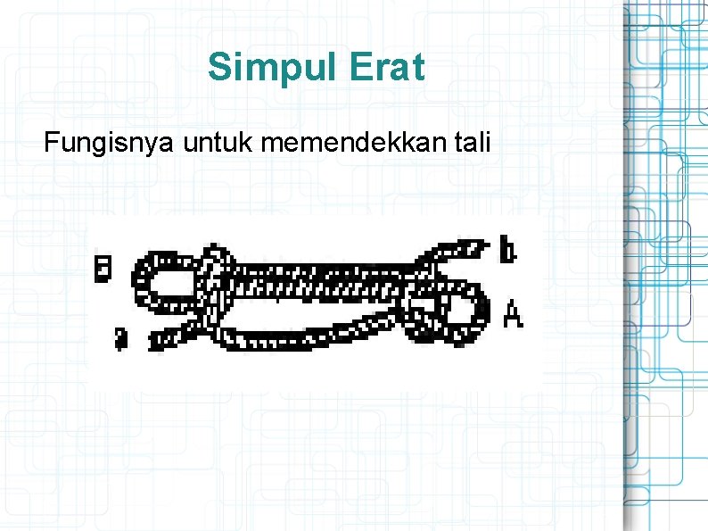 Simpul Erat Fungisnya untuk memendekkan tali 