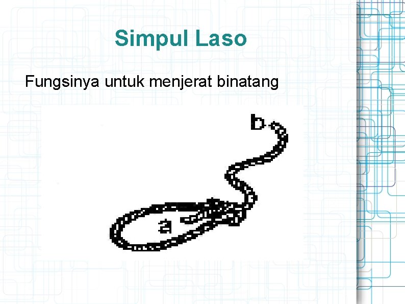 Simpul Laso Fungsinya untuk menjerat binatang 