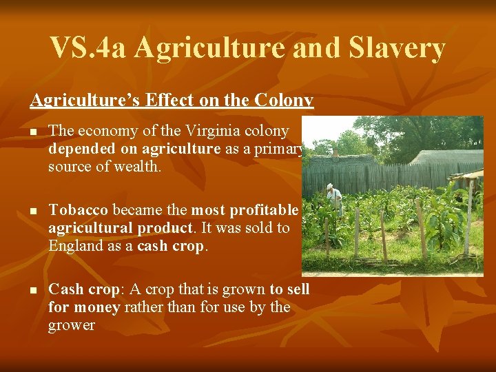 VS. 4 a Agriculture and Slavery Agriculture’s Effect on the Colony n n n