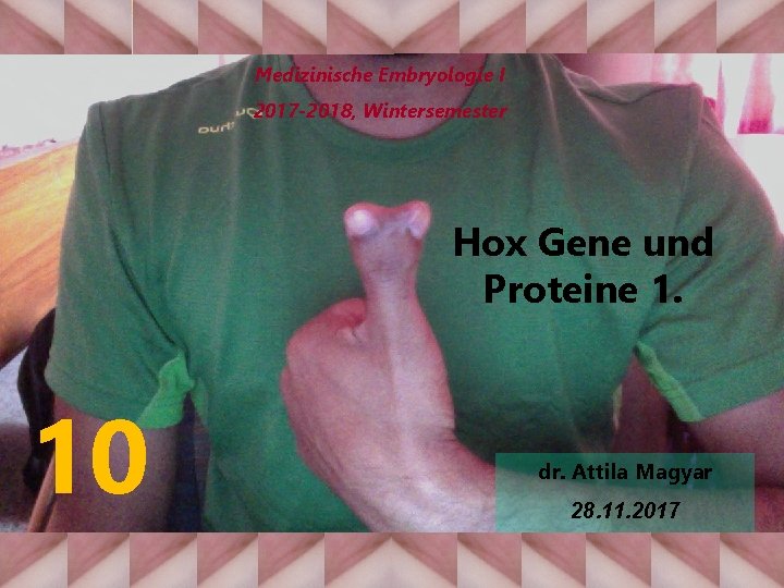 Medizinische Embryologie I 2017 -2018, Wintersemester Hox Gene und Proteine 1. 10 dr. Attila