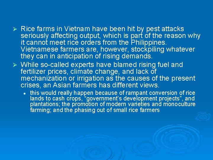Rice farms in Vietnam have been hit by pest attacks seriously affecting output, which