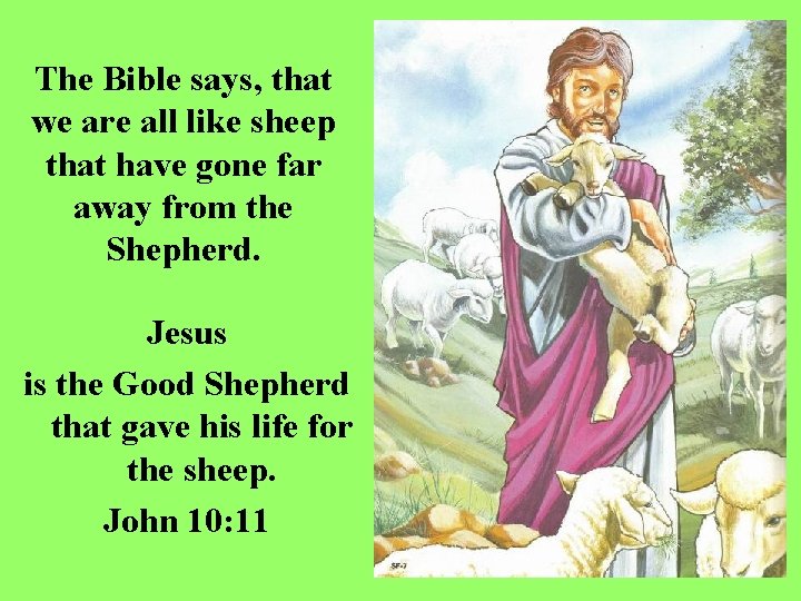 The Bible says, that we are all like sheep that have gone far away