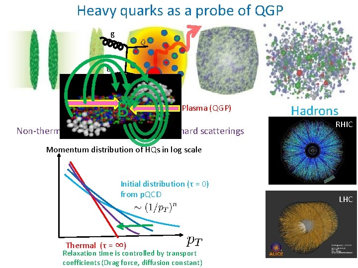 Heavy quarks as a probe of QGP g g B Thermal Quark-Gluon Plasma (QGP)