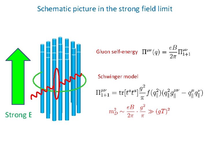 Schematic picture in the strong field limit Gluon self-energy Schwinger model Strong B 