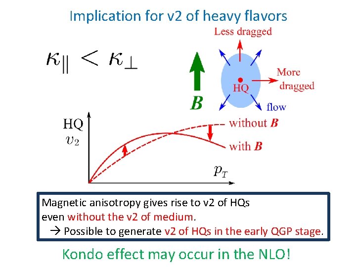 Implication for v 2 of heavy flavors Magnetic anisotropy gives rise to v 2