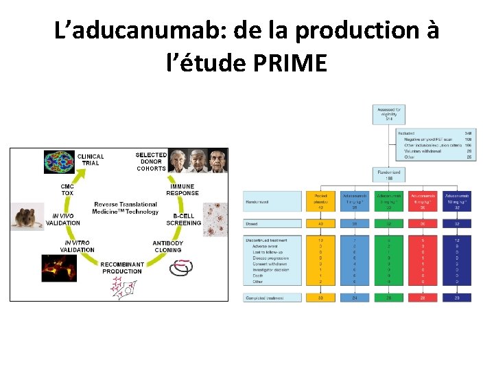 L’aducanumab: de la production à l’étude PRIME 